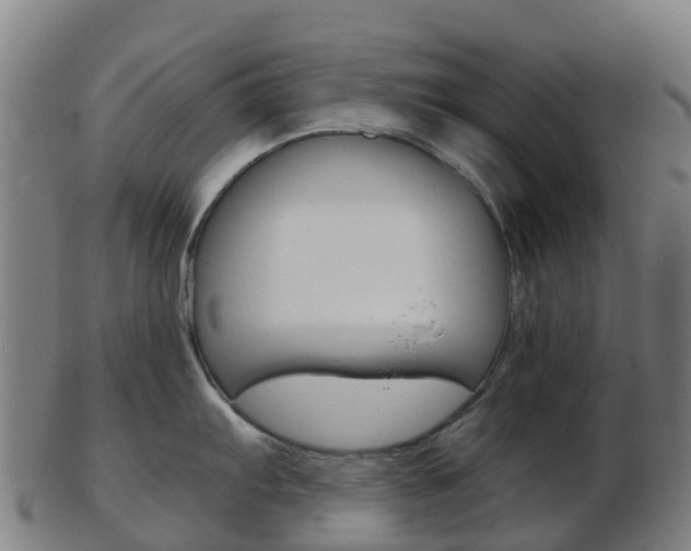 X0000103501103200809121007