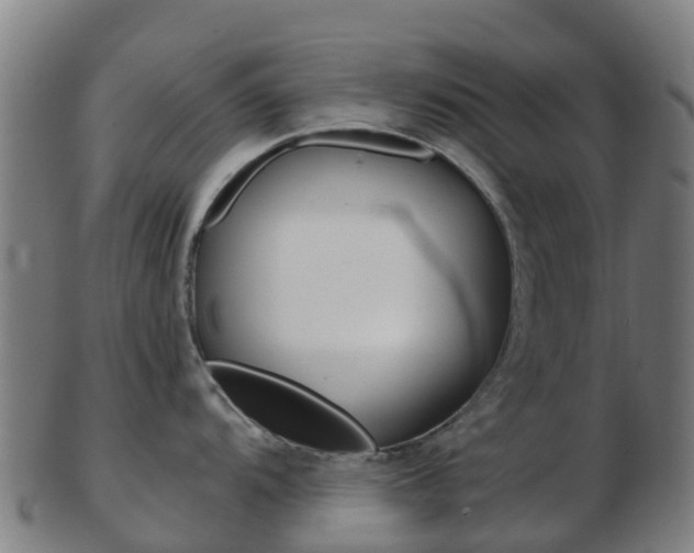 X0000103501104200809121007
