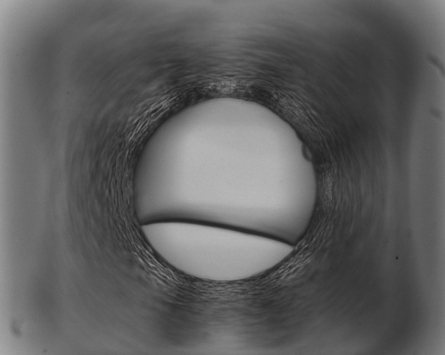 X0000103501105200809121006