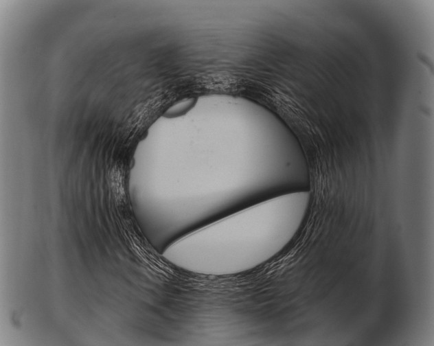 X0000103501106200809121006