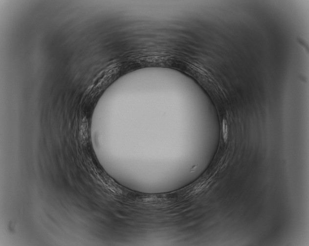 X0000103501107200809121006