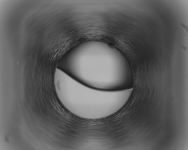 X0000103501108200809121006