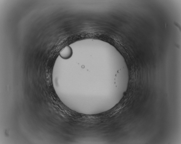X0000103501109200809121006