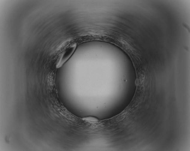 X0000103501110200809121006