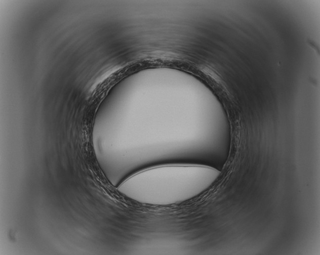 X0000103501112200809121006