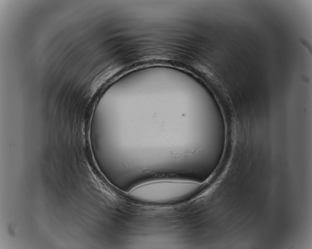 X0000103501113200809121006