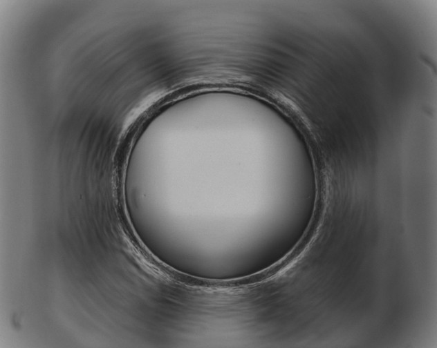 X0000103501114200809121006