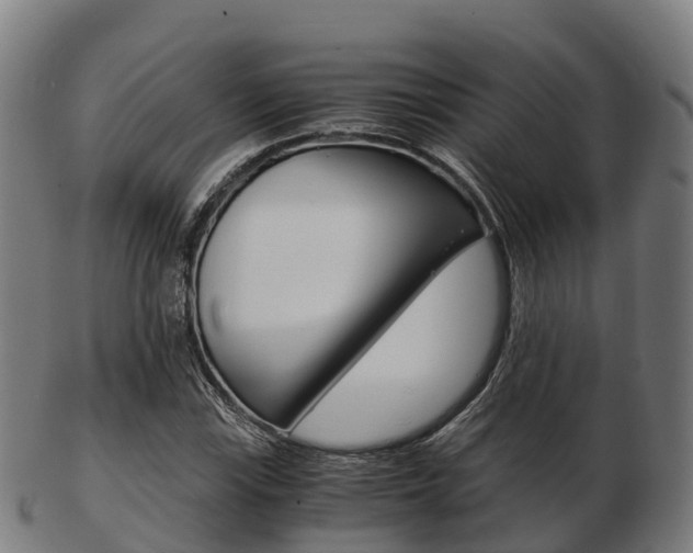 X0000103501115200809121006