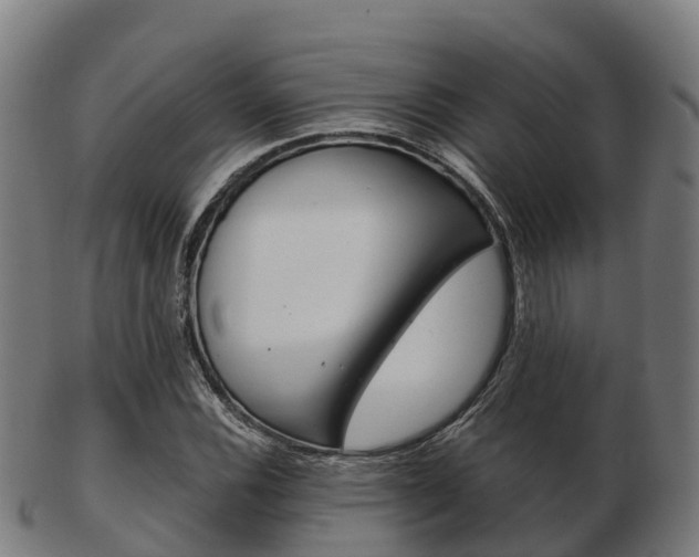X0000103501116200809121006