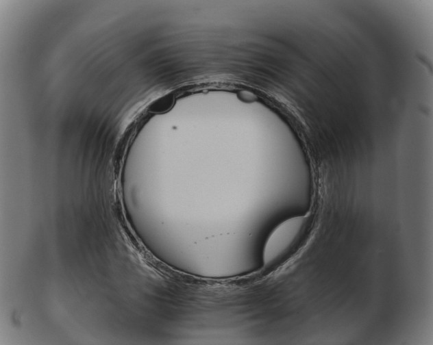 X0000103501117200809121006