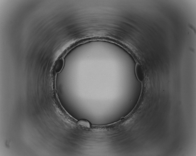 X0000103501118200809121006