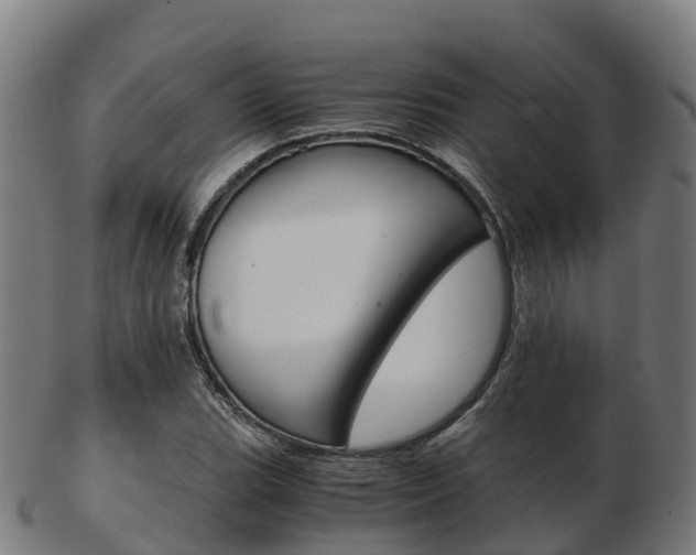 X0000103501119200809121006