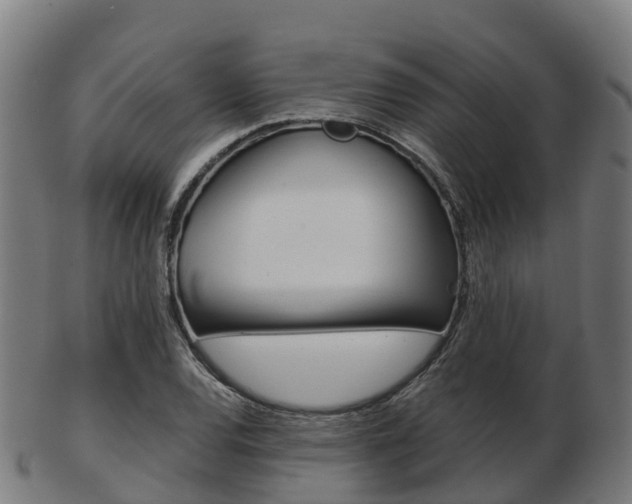 X0000103501120200809121006