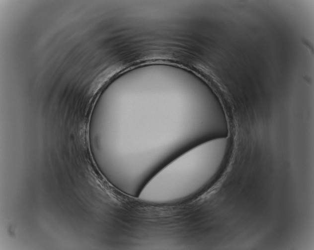 X0000103501121200809121006