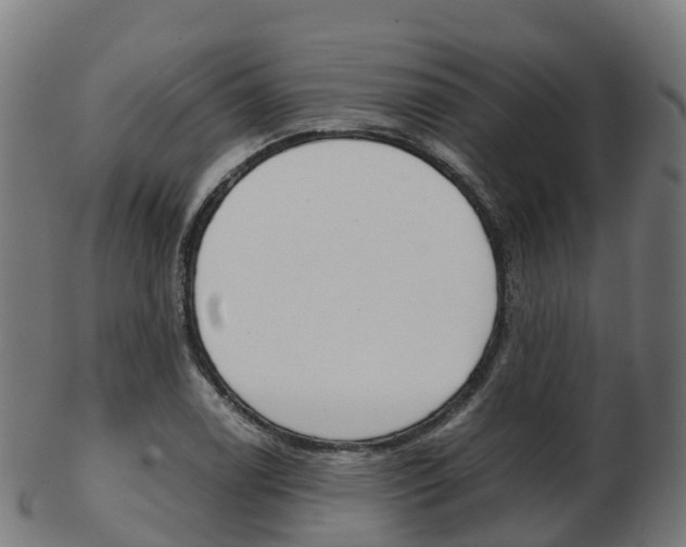X0000103501122200809121006