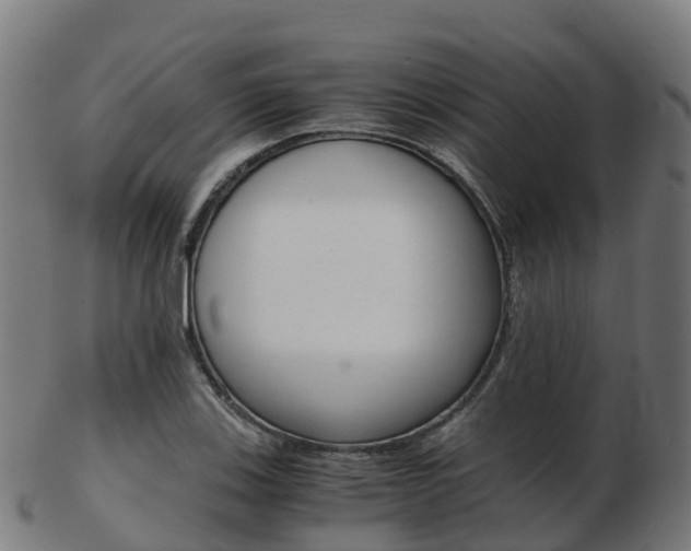 X0000103501123200809121006