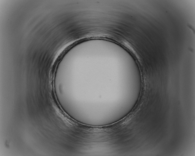 X0000103501124200809121006