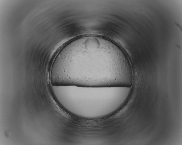 X0000103501125200809121006