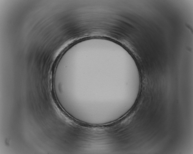 X0000103501126200809121006