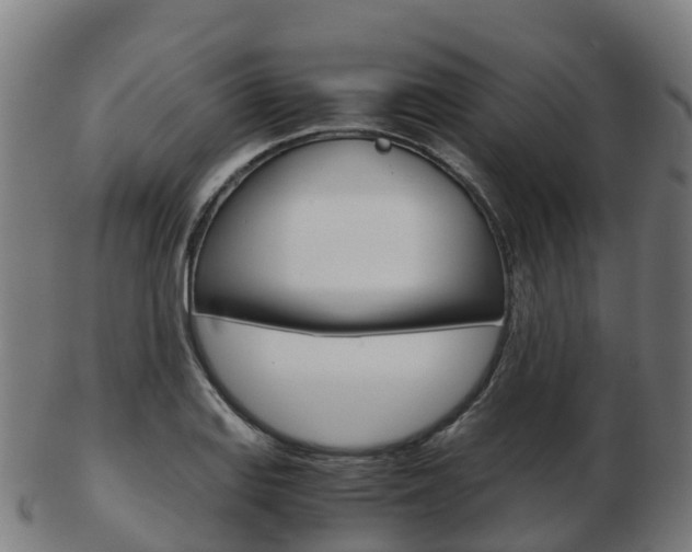 X0000103501127200809121006