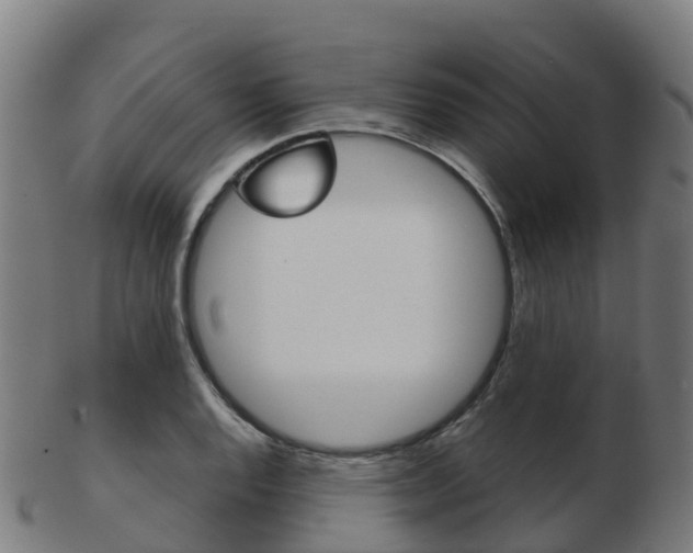 X0000103501128200809121006