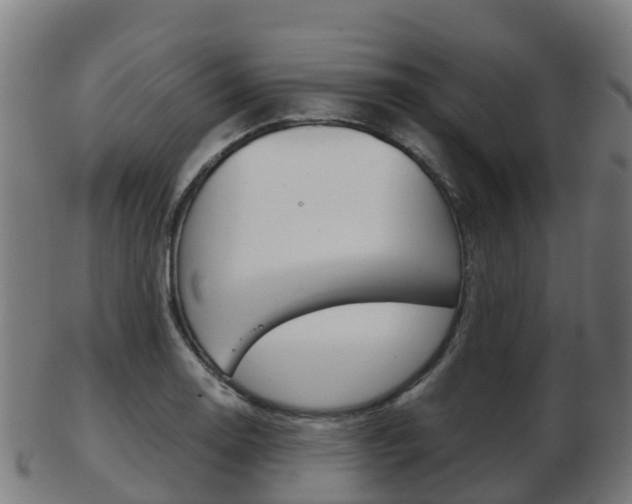X0000103501130200809121006