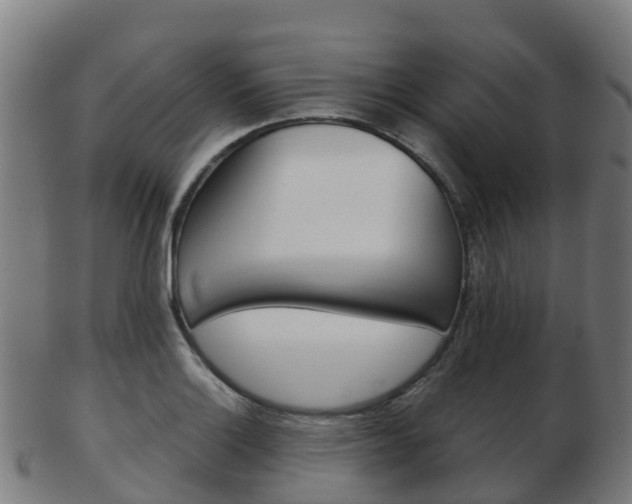 X0000103501132200809121006