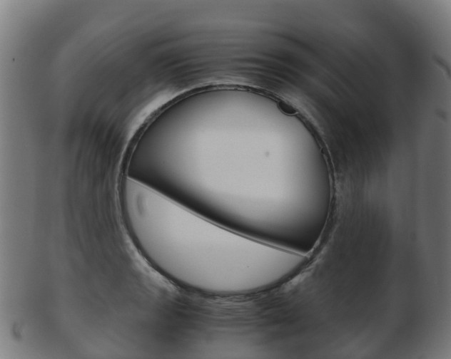 X0000103501133200809121006