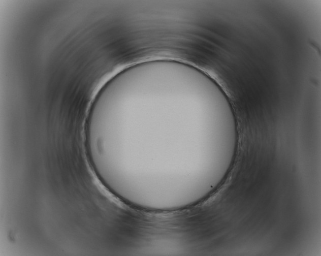 X0000103501134200809121006