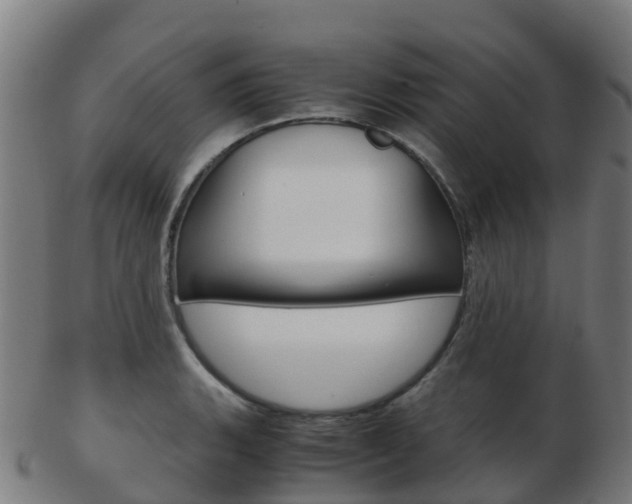 X0000103501135200809121006