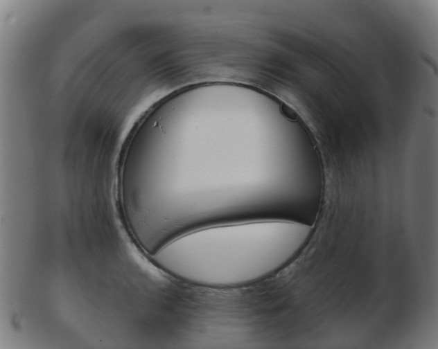 X0000103501136200809121006