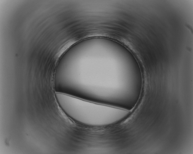 X0000103501137200809121006