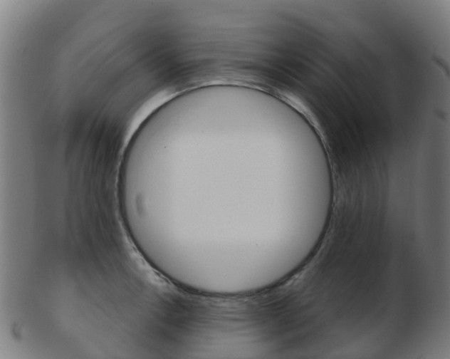 X0000103501138200809121006