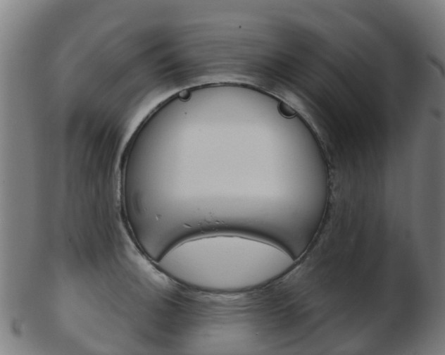 X0000103501140200809121006