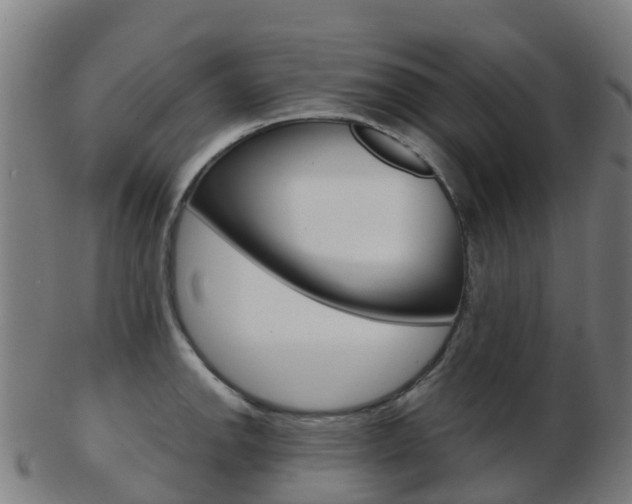 X0000103501142200809121006
