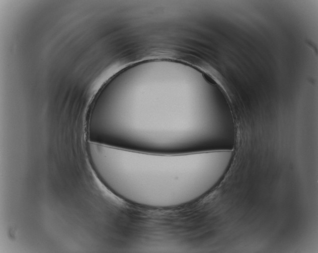 X0000103501143200809121006
