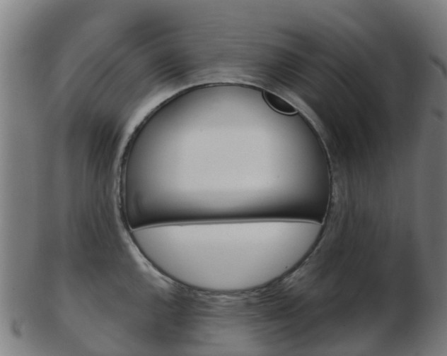 X0000103501144200809121006
