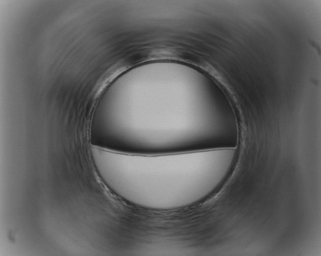 X0000103501145200809121006