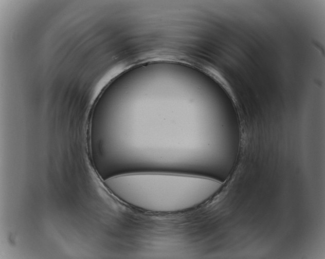 X0000103501146200809121006