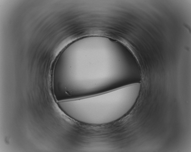 X0000103501147200809121006