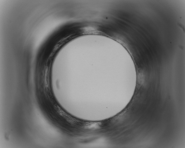 X0000103501150200809121006