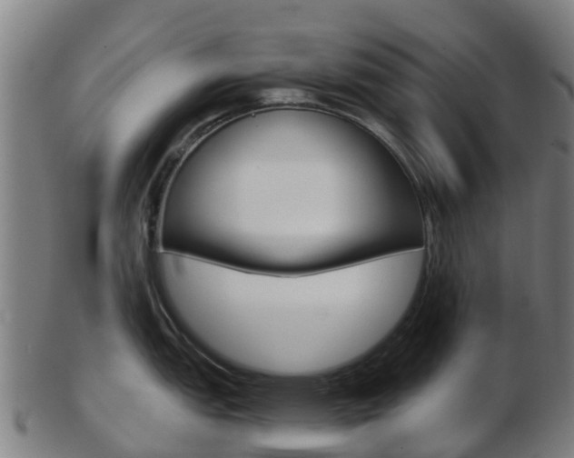 X0000103501151200809121006