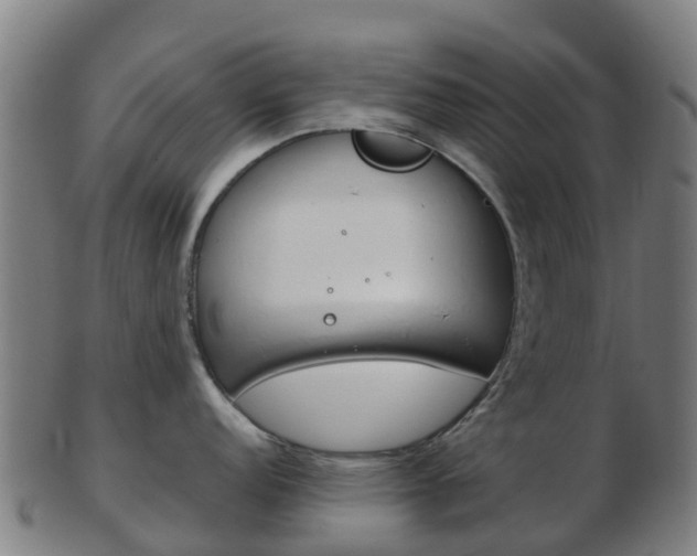 X0000103501152200809121006