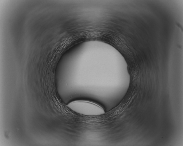 X0000103501153200809121006