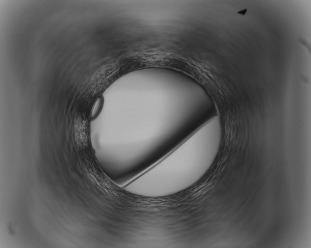 X0000103501156200809121006
