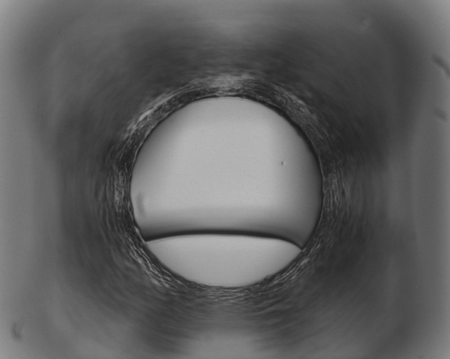 X0000103501158200809121006