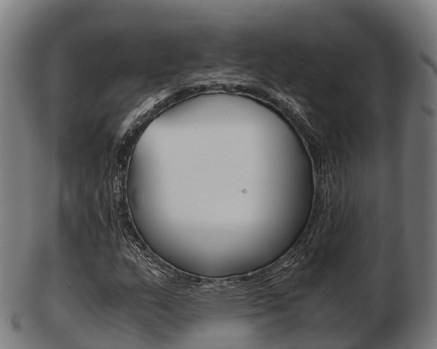 X0000103501159200809121006