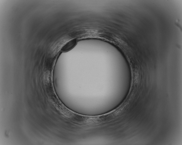 X0000103501161200809121006