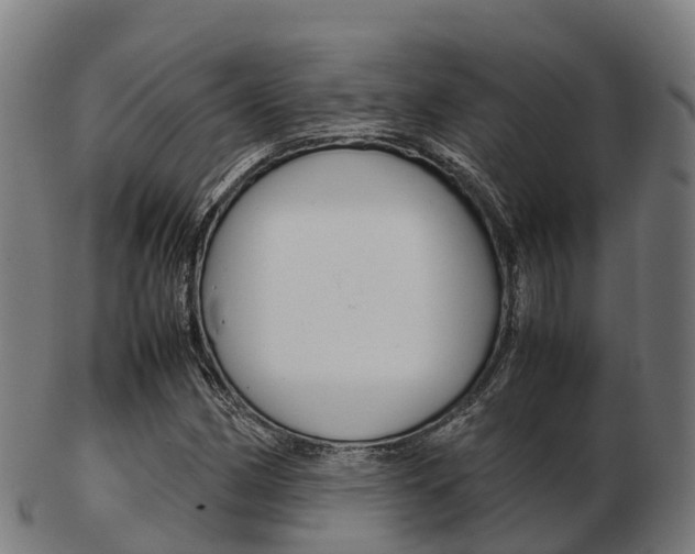 X0000103501162200809121006