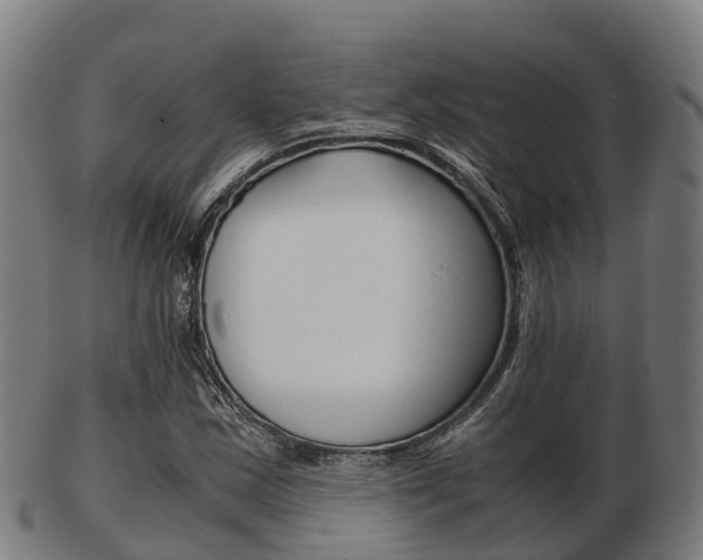 X0000103501163200809121006